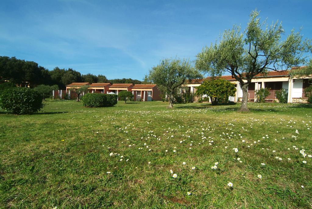 Koversada Rooms Vrsar Exterior foto